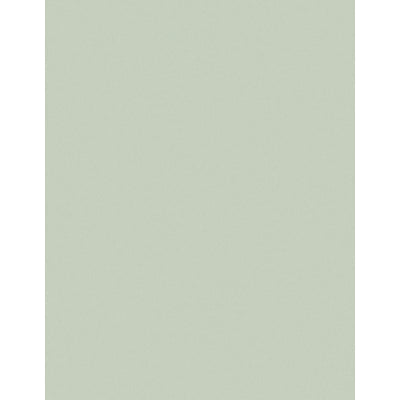 3M 7000028118 Lapping Film Sheet 265X, 8.50 in x 11 in, 1.0 Micron PSA Sheet, Aluminum Oxide, Green